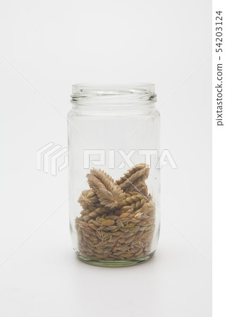 Ears wheat and grains in a glass bottle Ears wheat and grains in a glass bottle 54203124