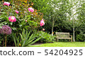 wooden bench in an English garden with pink peony 54204925