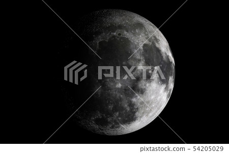 moon moon 54205029