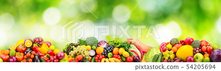 Panorama fresh fruits and vegetables on green 54205694