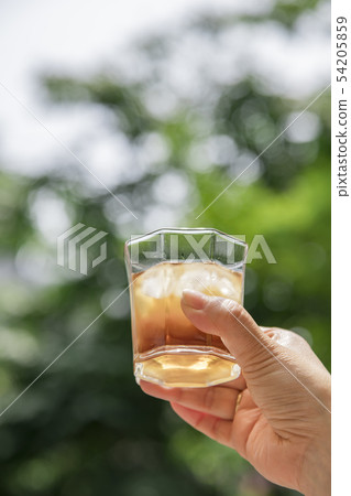 【barley tea】 【barley tea】 54205859