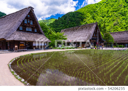 （富山縣）世界遺產Gokayama菅沼合掌結算村初夏 54206235