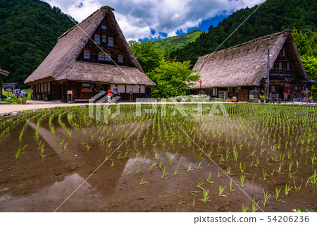 （富山縣）世界遺產Gokayama菅沼合掌結算村初夏 54206236