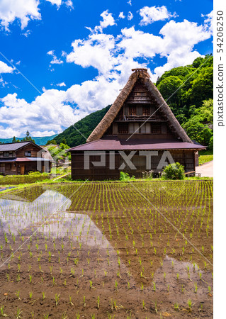 (Toyama Prefecture) World Heritage Gokayama Suganuma Gassho Settlement Village Early Summer 54206250