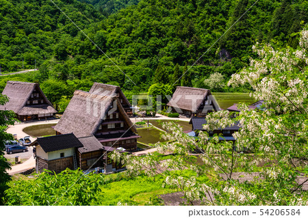 (Toyama Prefecture) World Heritage Gokayama Suganuma Gassho Settlement Village Early Summer 54206584