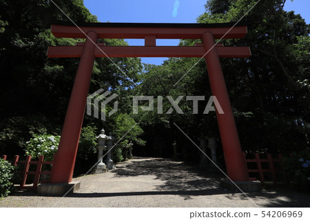香取神社 54206969