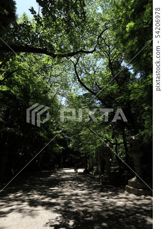 香取神社 54206978