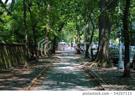 New York cityscape New York cityscape 54207115