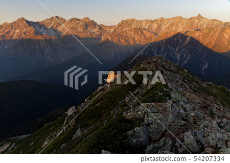 Spear of a morning glow seen from Kotono-dake · Hodaka mountains 54207334