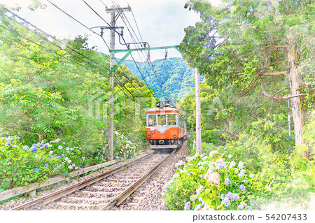 [水彩風格]箱根登山鐵道和繡球花的景觀 54207433
