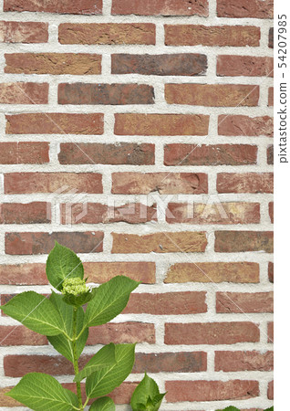 Brick and verdure background material texture 54207985