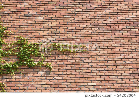 Brick and verdure background material texture 54208004