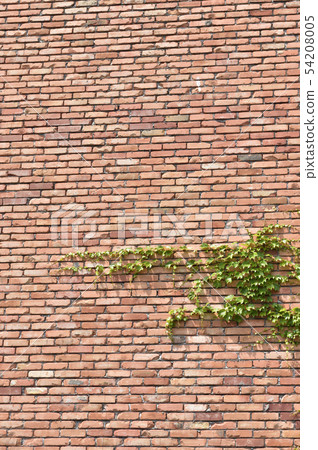 Brick and verdure background material texture 54208005