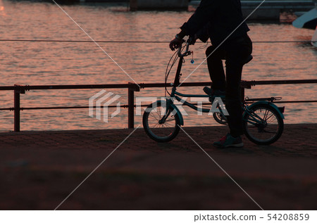 在港口的日落，自行車的剪影。 54208859