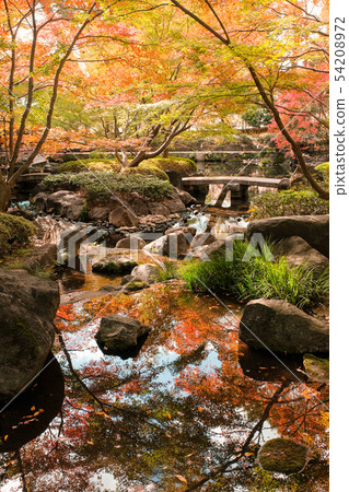 Daejeon black park, autumn leaves Daejeon black park, autumn leaves 54208972