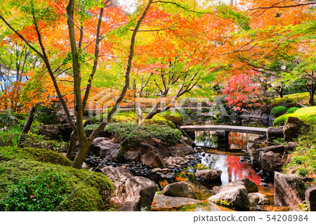 Daejeon black park, autumn leaves 54208984