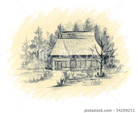 玫瑰蘇梅，烏賊屬背景的議院 54209251