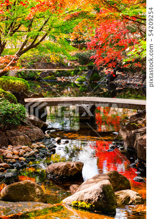 Daejeon black park, autumn leaves Daejeon black park, autumn leaves 54209254