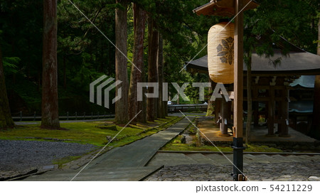 邪惡iraka-eiheiji 54211229