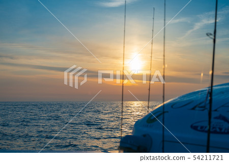 Genkai sea bream fishing in early summer 54211721