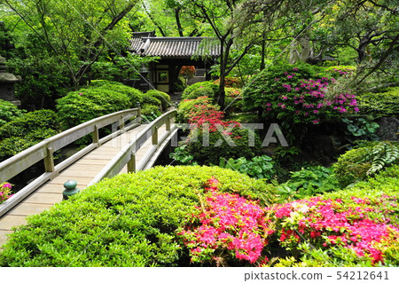 May Grand Prince Hotel Takanawa 03 Japanese Garden Azalea 54212641