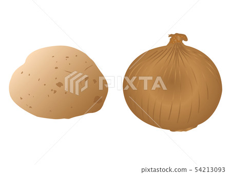土豆和洋蔥 土豆和洋蔥 54213093