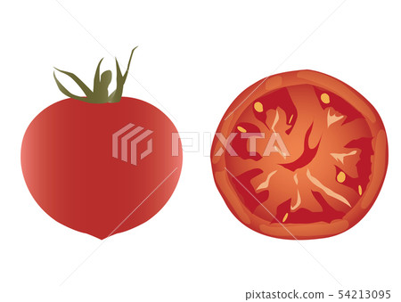 蕃茄 蕃茄 54213095