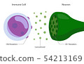 The endocannabinoid system with cannabinoid 54213169