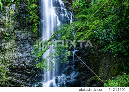 Osaka Prefecture · Minoh Otaki 54213301