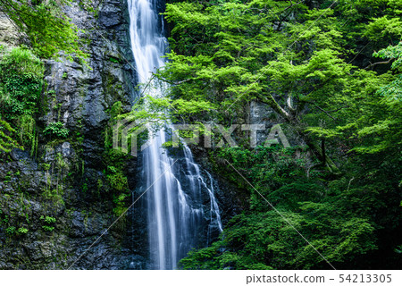 Osaka Prefecture · Minoh Otaki 54213305