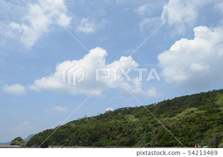 熱帶清楚的藍天和海島綠葉在沖繩島 54213469