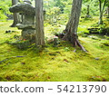 Japanese garden 54213790