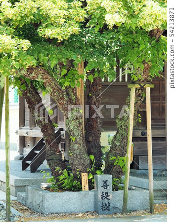 福岡市東區的Eko-in的Boeki 54213871