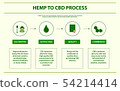 Hemp to CBD process horizontal infographic 54214414