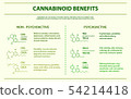 Cannabinoid benefits horizontal infographic 54214418