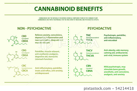 Cannabinoid benefits horizontal infographic Cannabinoid benefits horizontal infographic 54214418
