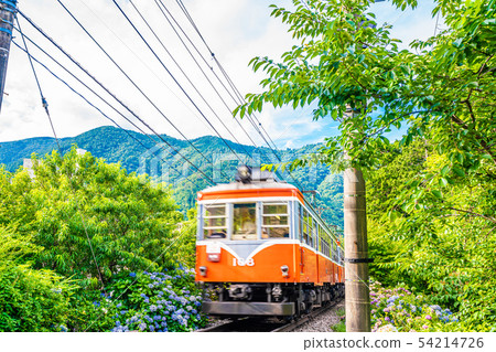 箱根Tozan鐵路和繡球花風景 54214726