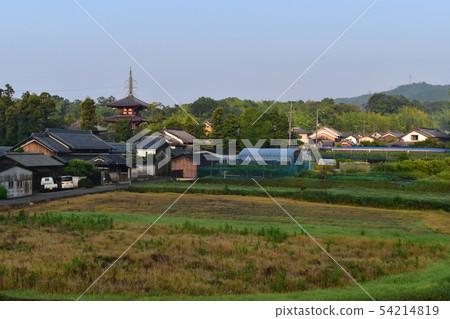 Landscape of Horinji 54214819