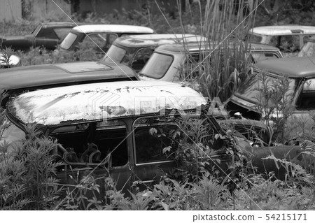 已報廢並存放以拆卸零件的舊Mini Cooper 已報廢並存放以拆卸零件的舊Mini Cooper 54215171