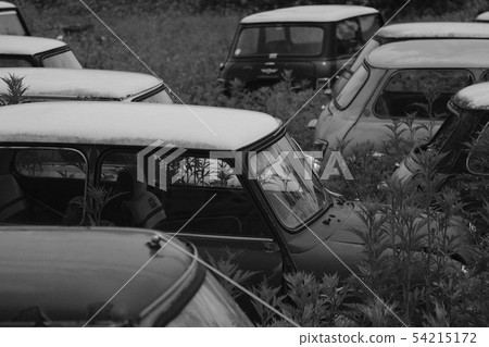 已報廢並存放以拆卸零件的舊Mini Cooper 已報廢並存放以拆卸零件的舊Mini Cooper 54215172