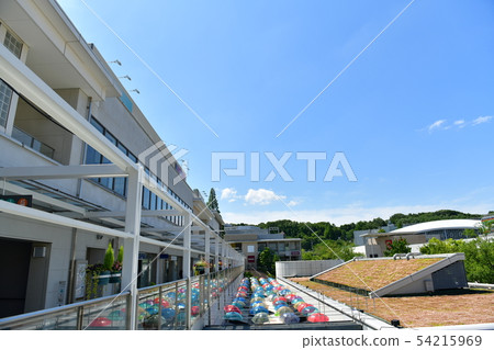 Rainy season Rainy season 54215969