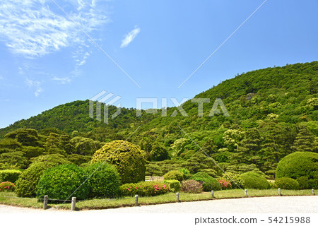 Kuribayashi公園 54215988