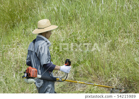除草圖像，除草圖像 54215989