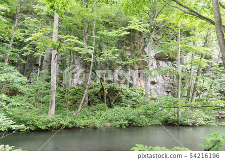 Folding rock 54216196