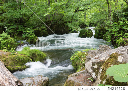 阿修羅的流動 54216328