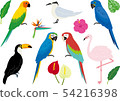 Tropical bird set 54216398