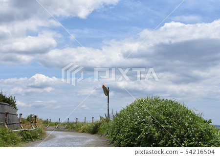 初夏的茅崎海岸 54216504