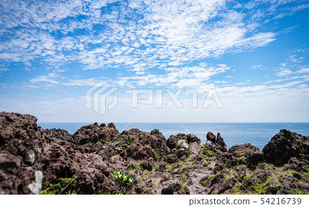 從伊東和長崎海岸觀看相模灣 54216739