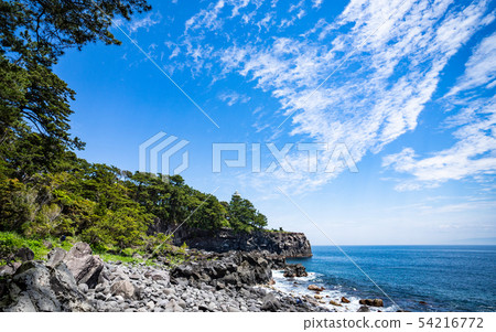 從伊東和長崎海岸觀看相模灣 54216772