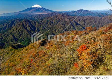 Mt. Fuji seen from the Tanzawa-Kinto Marudate Line and the mountain range of colored leaves 54217660